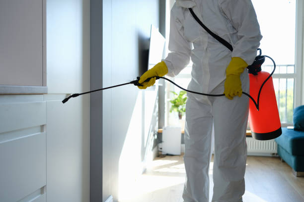 Office Mold Removal Services in Woodworth, OH